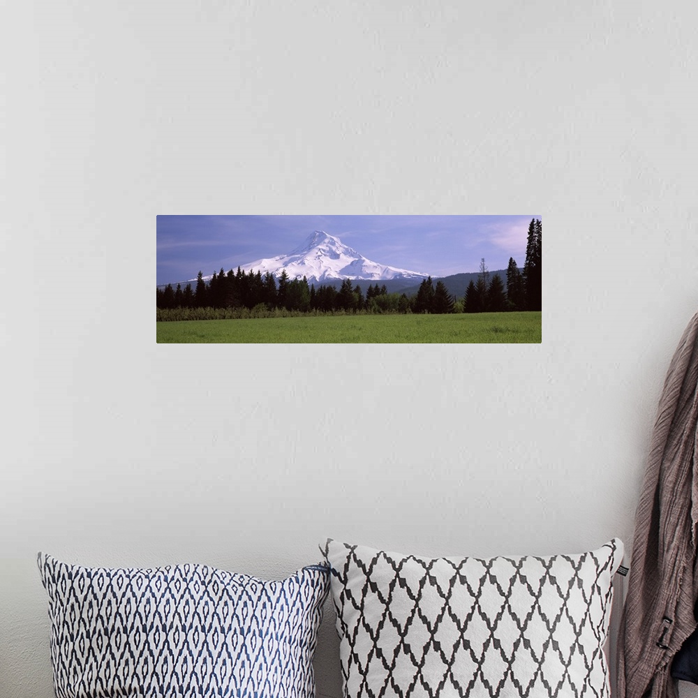 A bohemian room featuring Field with a snowcapped mountain in the background, Mt Hood, Oregon,