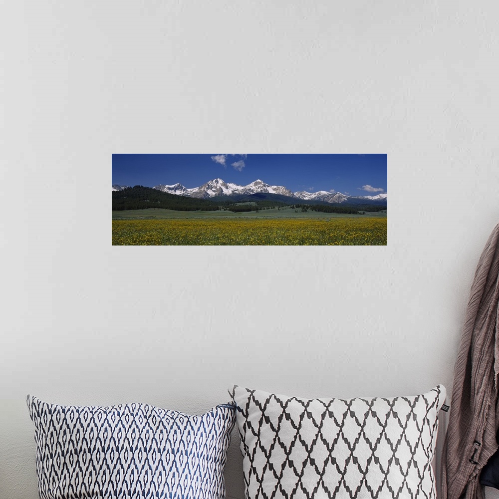 A bohemian room featuring Panoramic photograph of meadow with forest and snow covered forest in the distance under a cloudy...