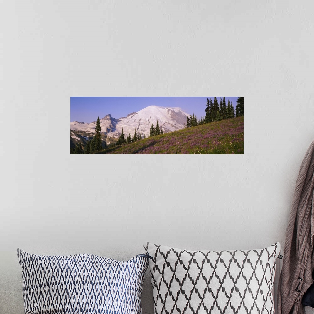 A bohemian room featuring Flowers in front of mountain, Mt Rainier, Mt Rainier National Park, Washington State