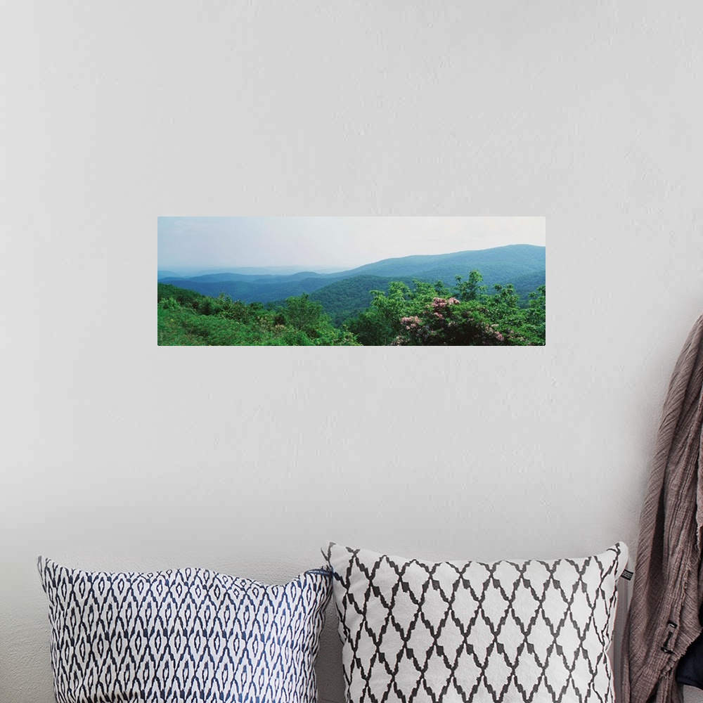 A bohemian room featuring Fog over a forest, Great Smoky Mountain National Park, North Carolina