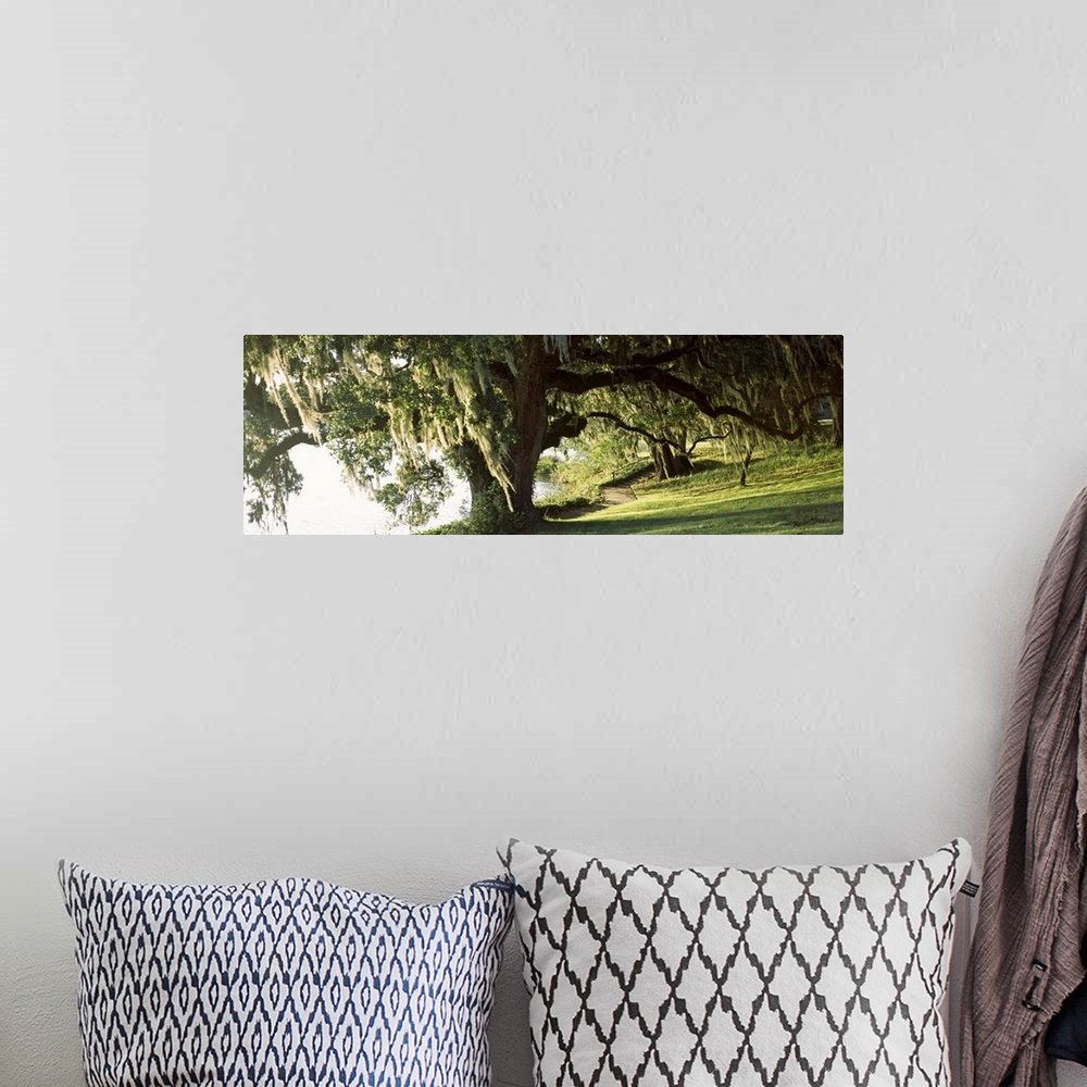A bohemian room featuring Panoramic photo of a weeping willow tree in a garden along a river.