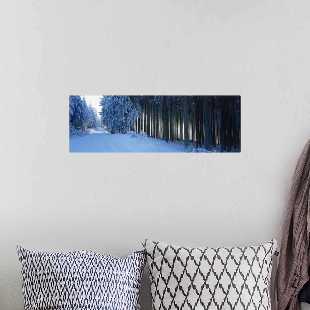 A bohemian room featuring Germany, Hochwald, road, winter