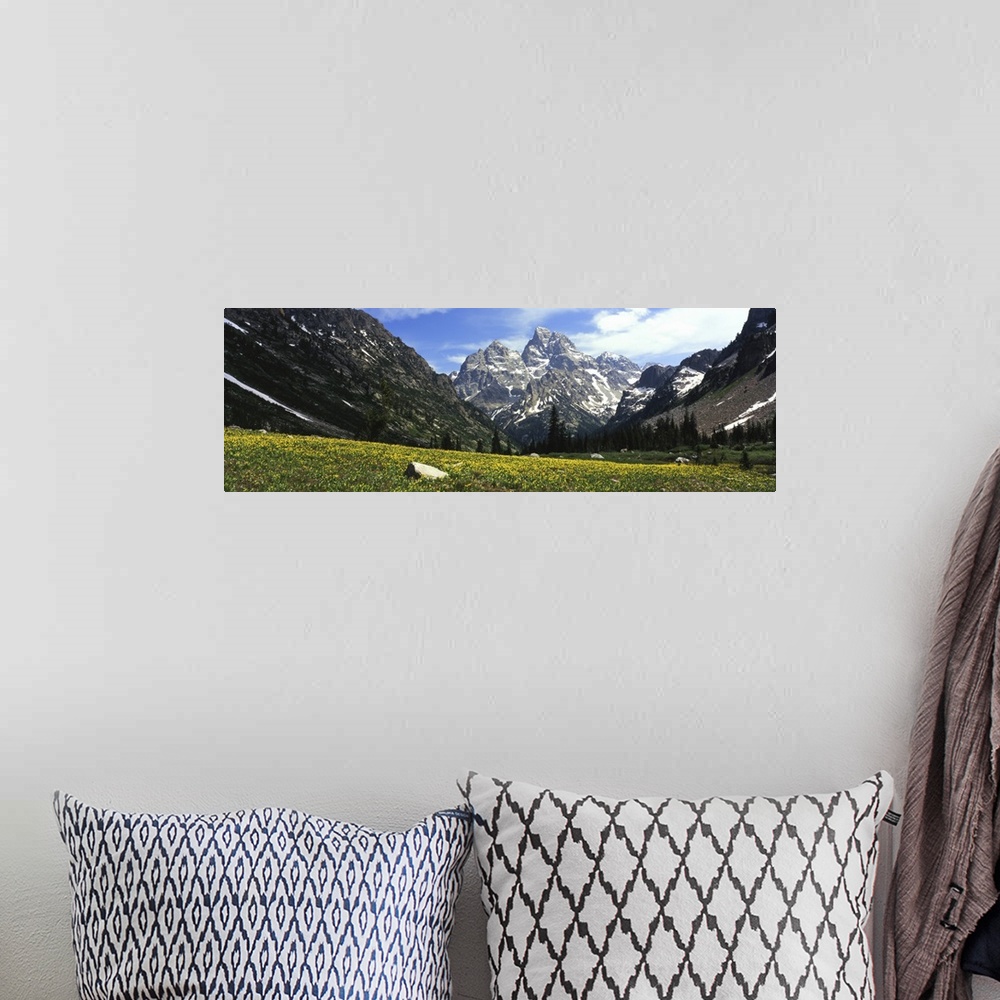 A bohemian room featuring Glacier lilies in a field with mountains in background, Grand Teton National Park, Wyoming
