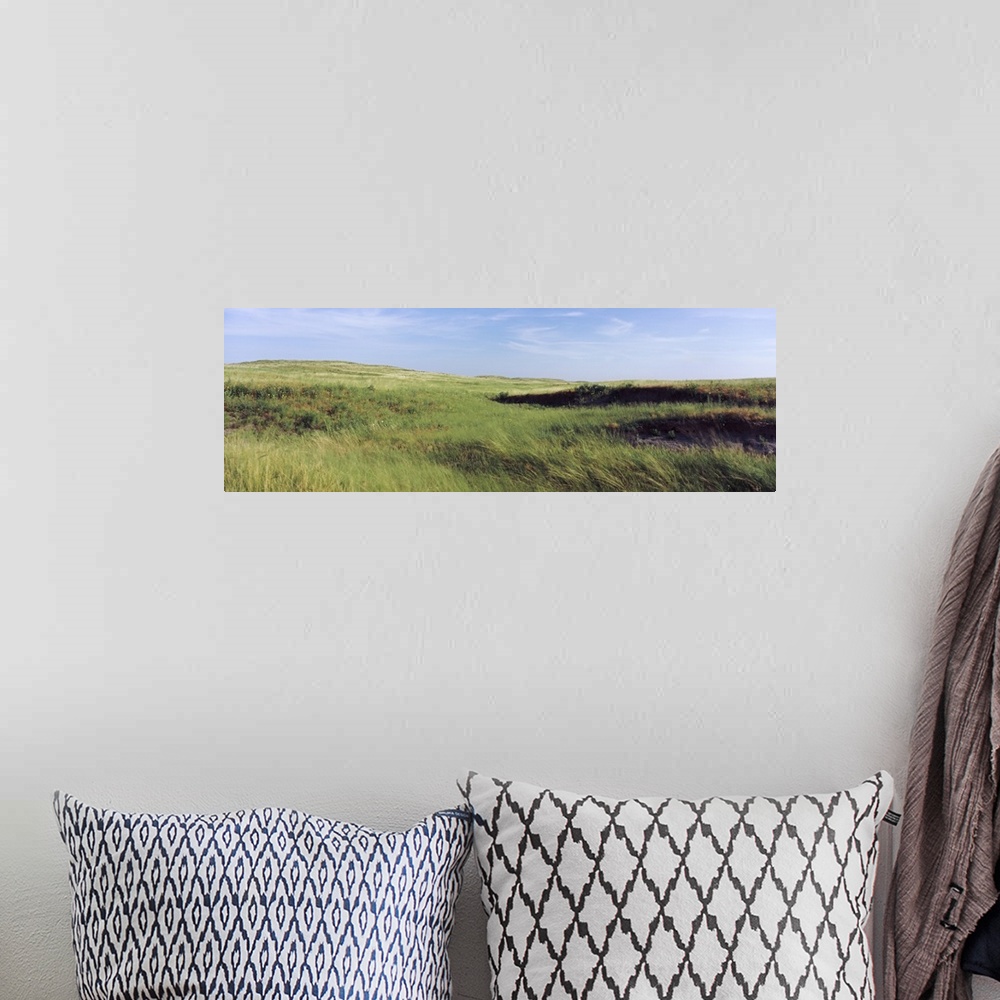 A bohemian room featuring Grass in a field, Whitetail Creek, Keith County, Nebraska,