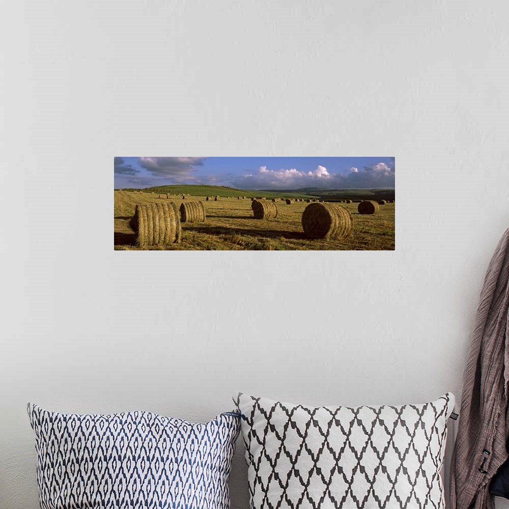 A bohemian room featuring Hay bales in a field, Underberg, KwaZulu Natal, South Africa