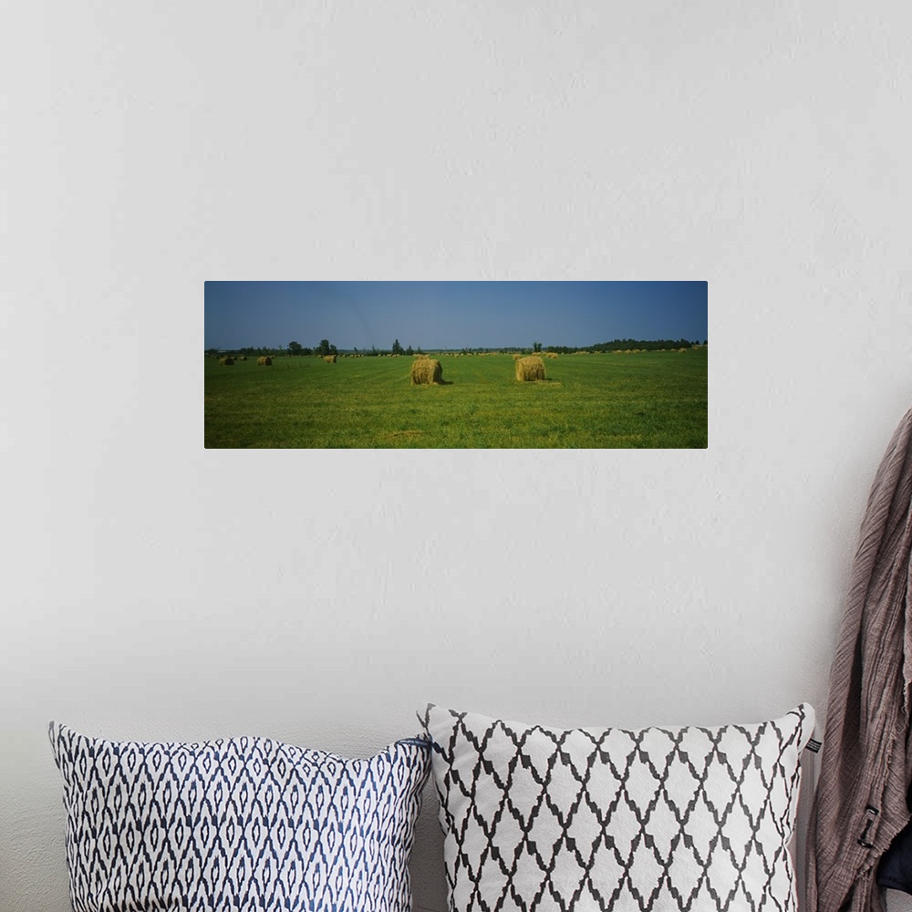 A bohemian room featuring Hay bales on a field, Michigan