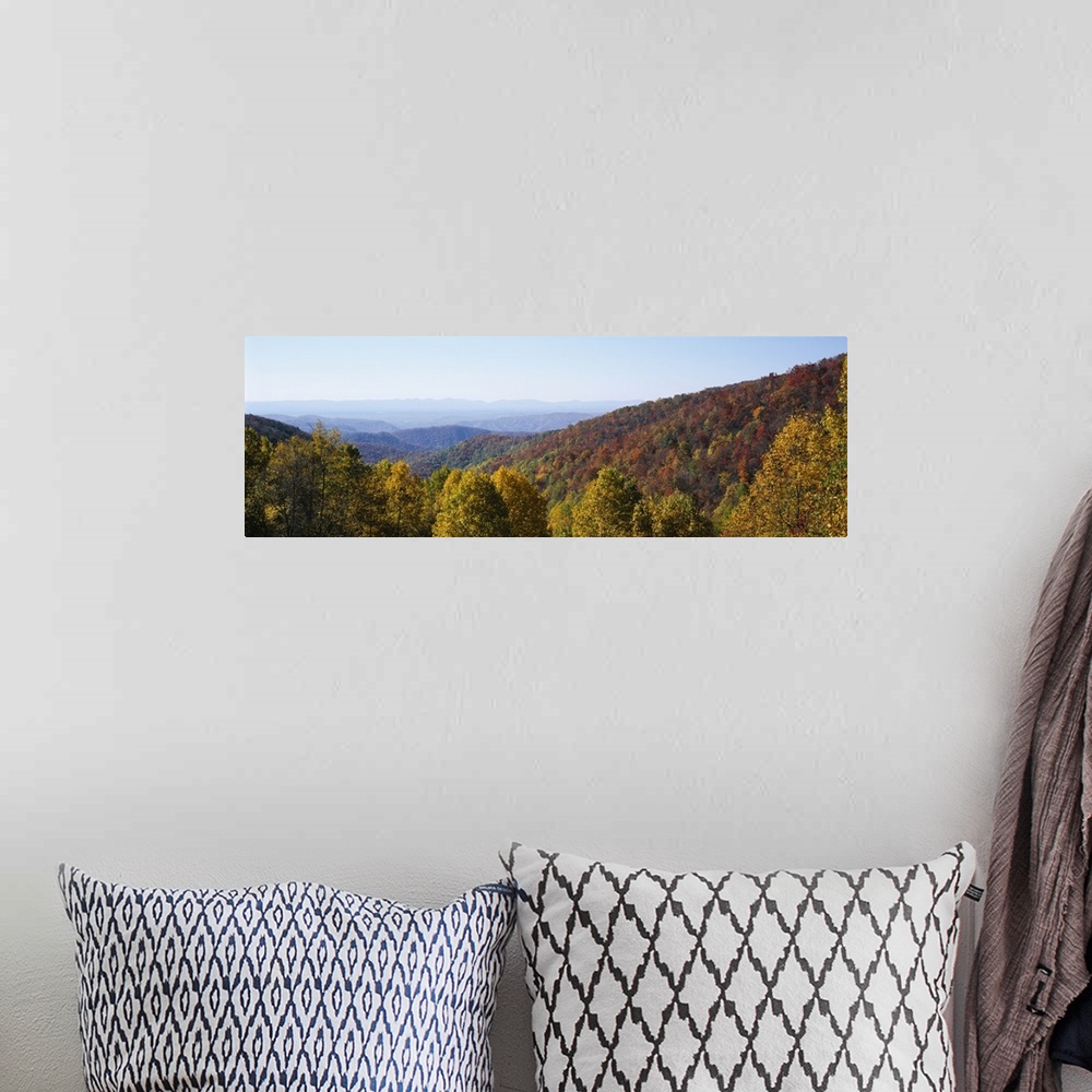 A bohemian room featuring High angle view of a forest, Blue Ridge Parkway, North Carolina