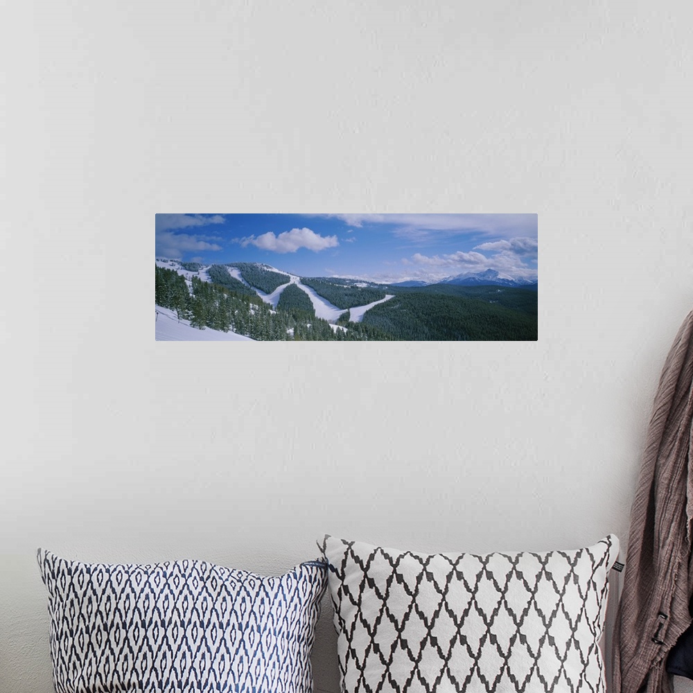 A bohemian room featuring High angle view of evergreen trees on mountains covered with snow, Colorado