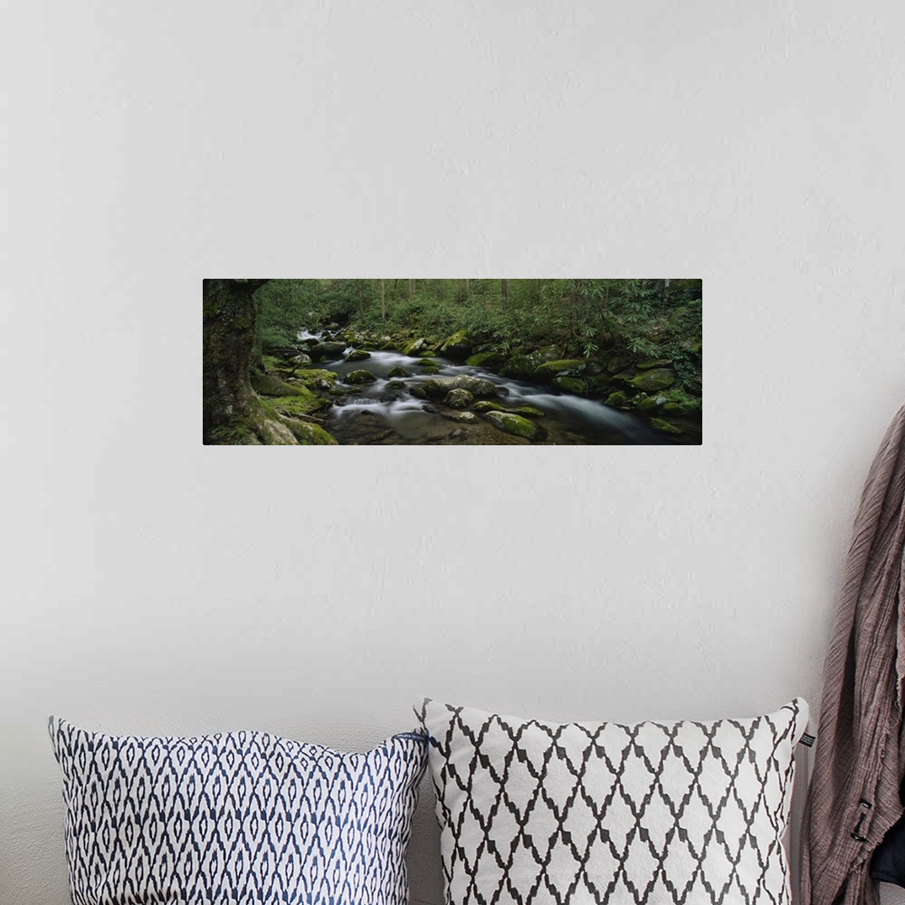 A bohemian room featuring Panoramic photograph on a big canvas of a rocky stream surrounded by a dense, green forest in the...