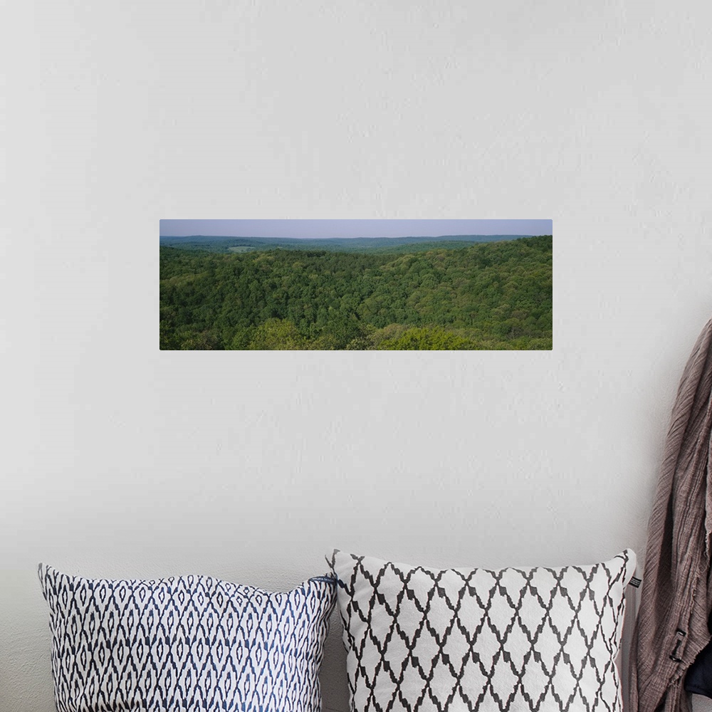 A bohemian room featuring High angle view of trees in a forest, Garden of the Gods Recreation Area, Shawnee National Forest...