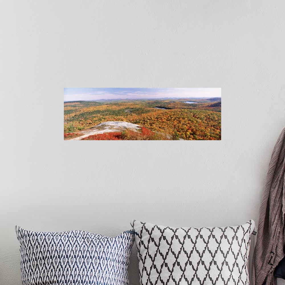 A bohemian room featuring High angle view of trees on a mountain, Bangor Area, Peaked Mountain, Clifton, Maine