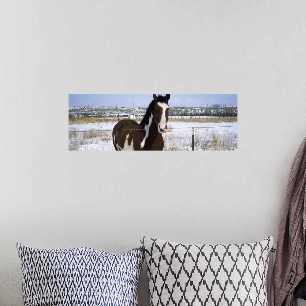 A bohemian room featuring Horse at fence in snow Taos New Mexico