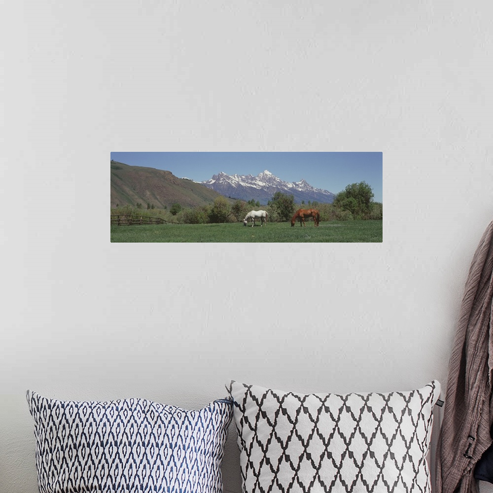 A bohemian room featuring Horses and Teton Range Grand Teton National Park WY