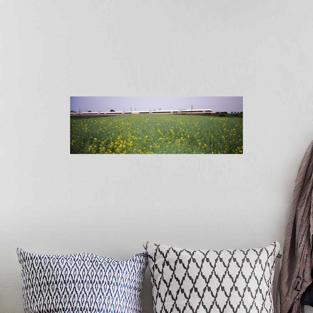 A bohemian room featuring ICE Train passing through oilseed rape (Brassica napus) field, Baden-Wurttemberg, Germany