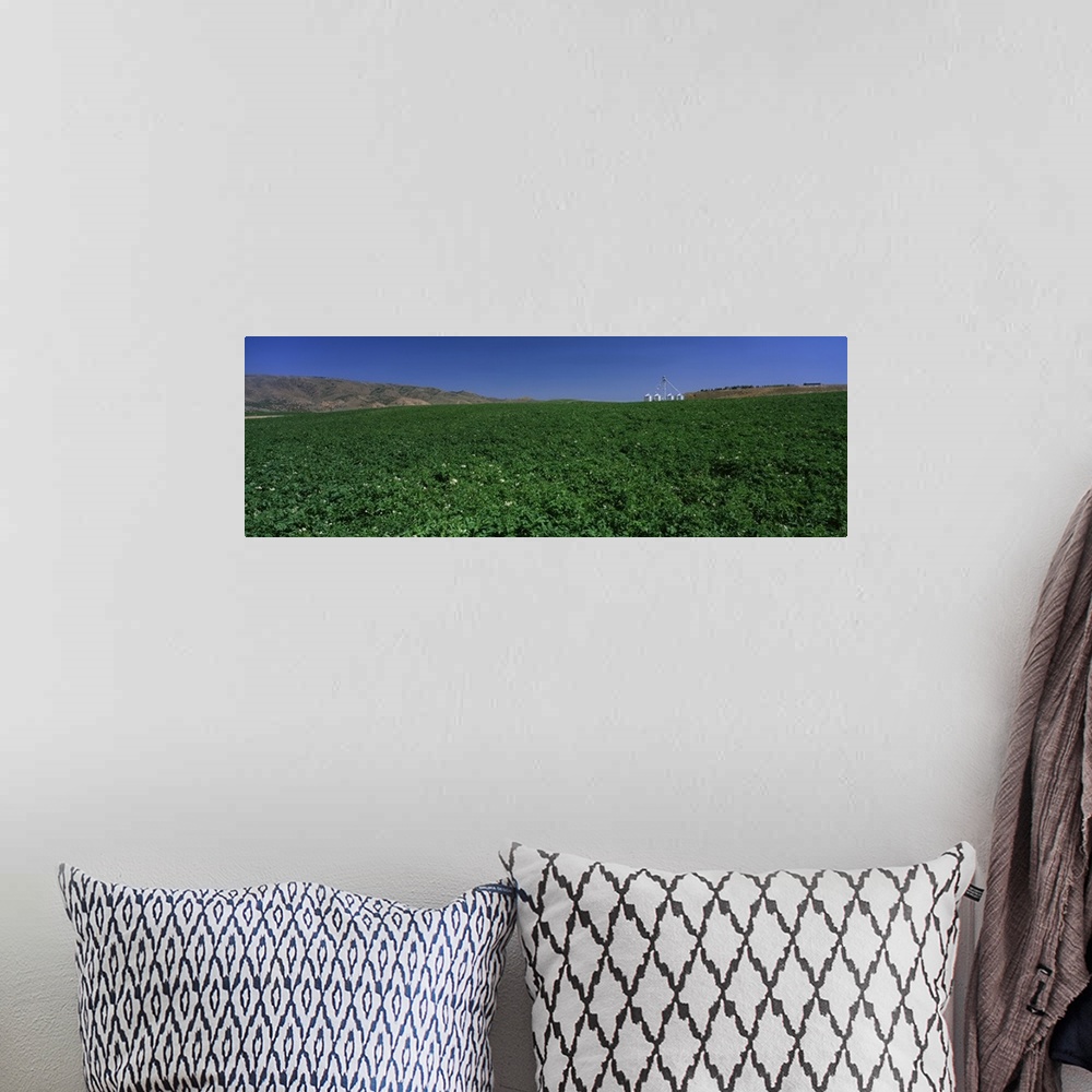 A bohemian room featuring Idaho, Burley, Potato field surrounded by mountains