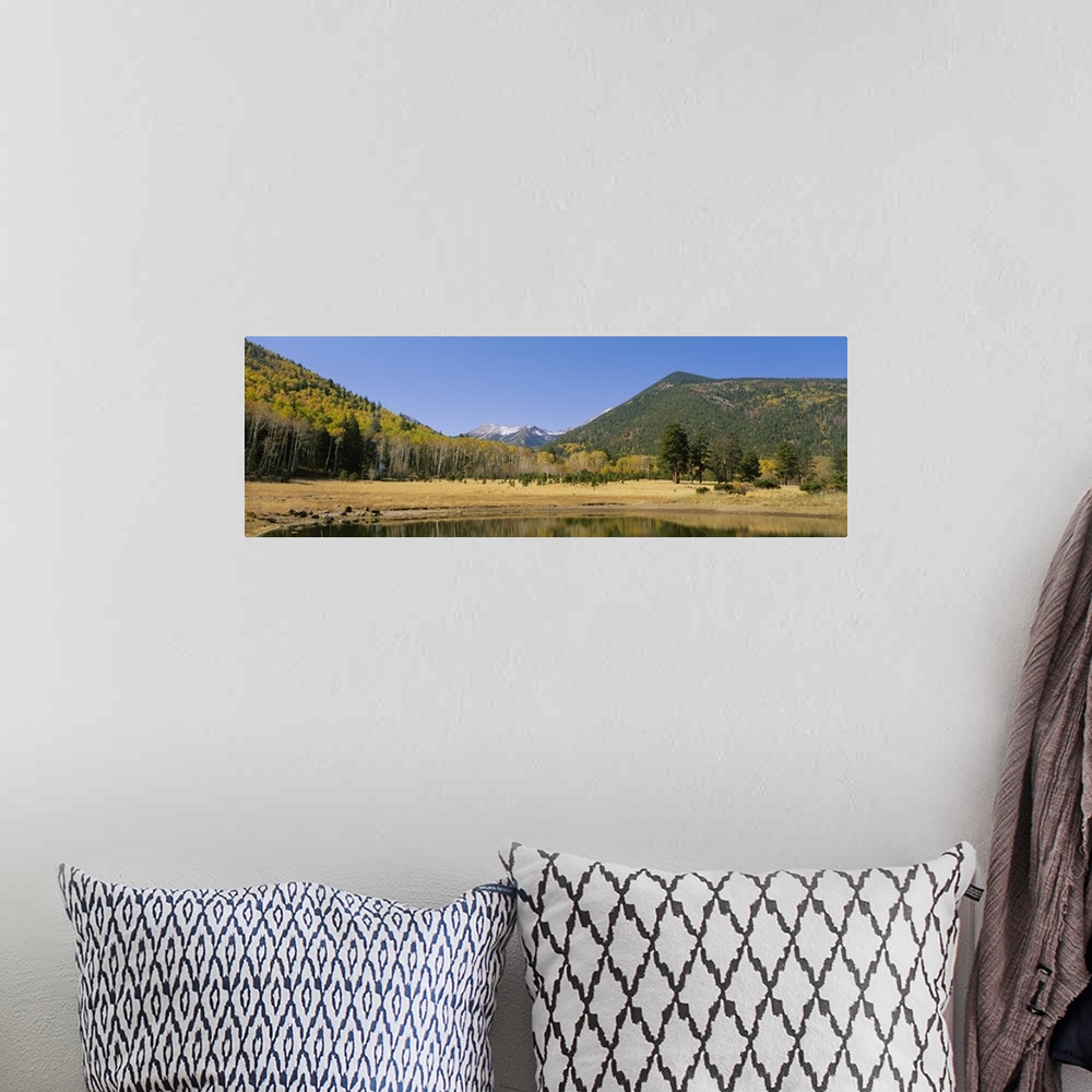 A bohemian room featuring Locket Meadow Kachina Peaks Wilderness Flagstaff AZ