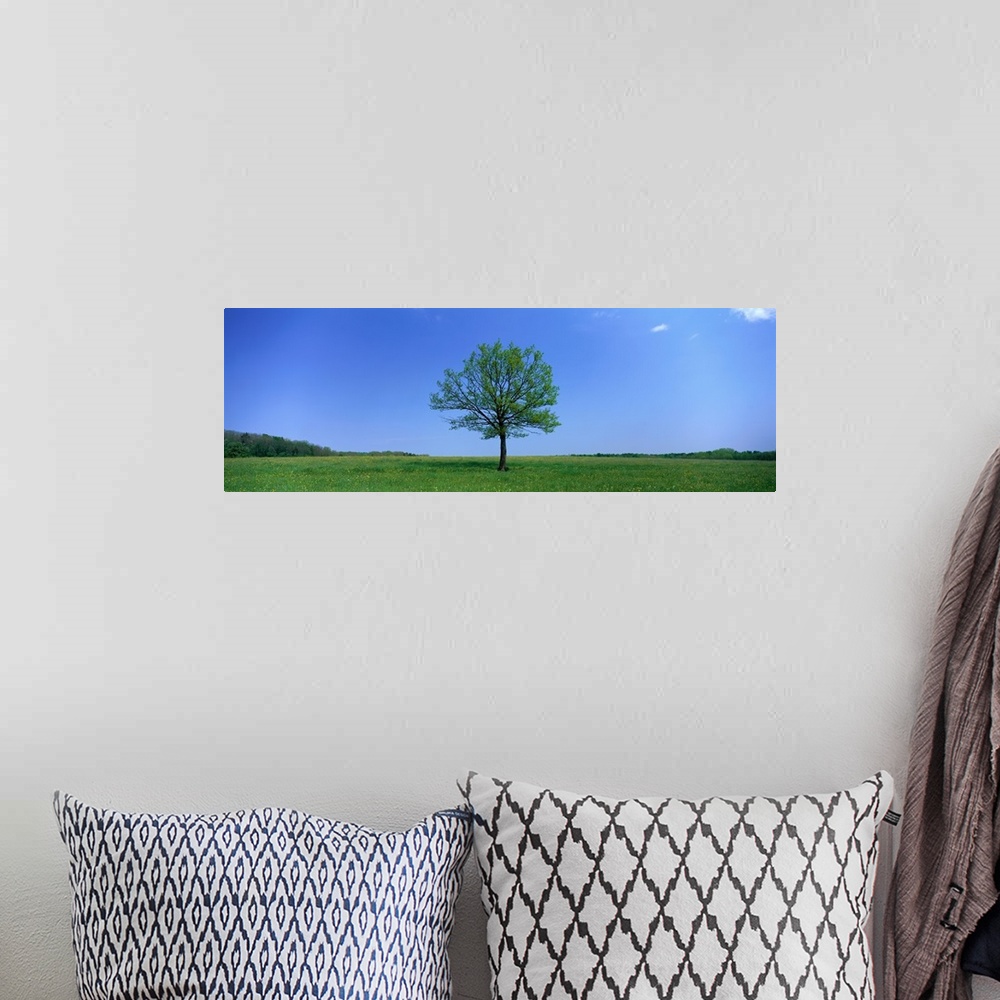 A bohemian room featuring Lone Tree in Pasture near Dijon France