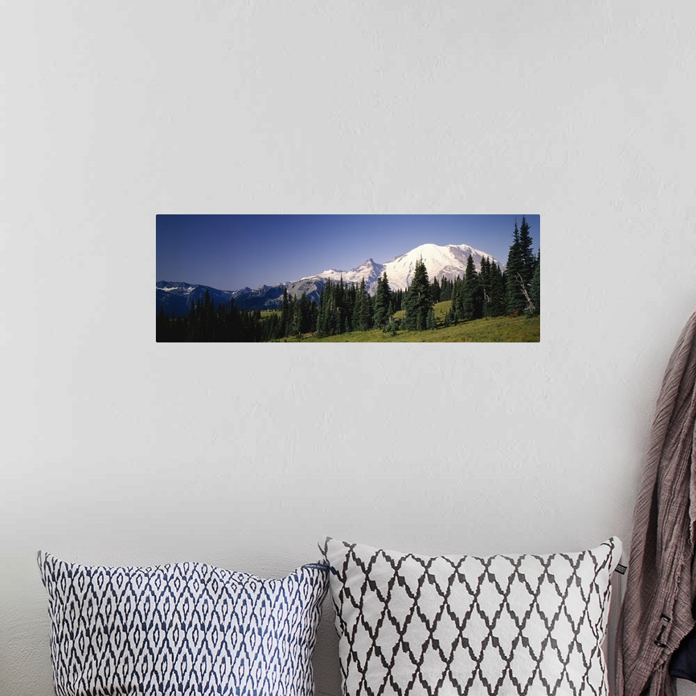 A bohemian room featuring Low angle view of mountains, Mt Rainier, Washington State
