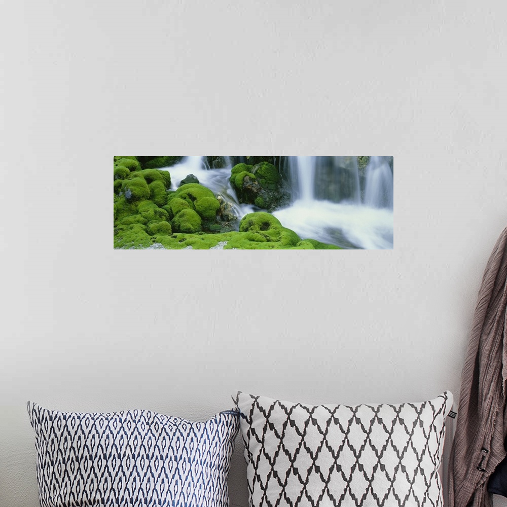 A bohemian room featuring Oversized, horizontal photograph of a stream rushing through large, rocky terrain covered in thic...