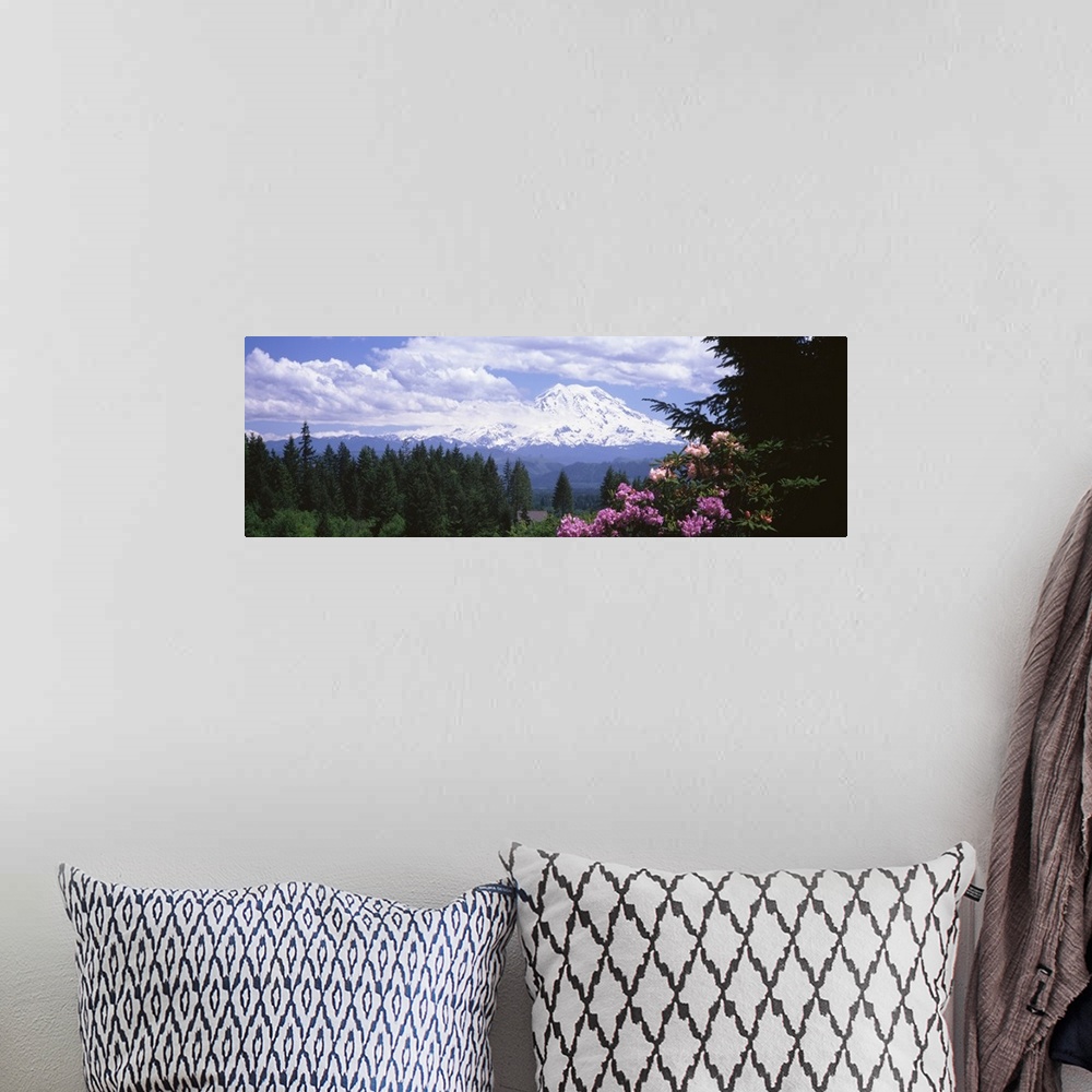 A bohemian room featuring Mount Rainier & spring rhododendrons Graham WA