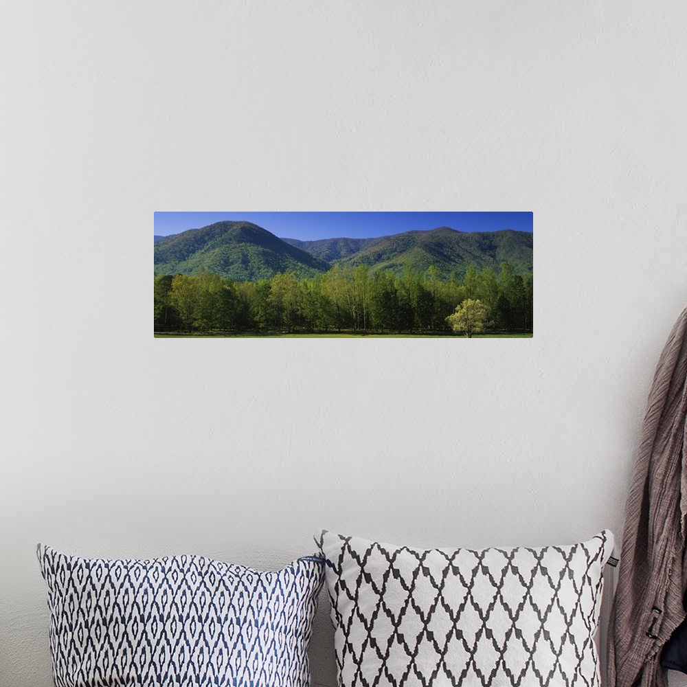 A bohemian room featuring Mountains in a national park, Great Smoky Mountains National Park, Tennessee