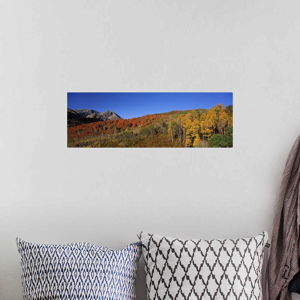 A bohemian room featuring Mountains on a landscape Mt Timpanogos Wasatch Mountains Utah