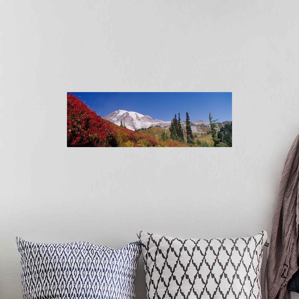 A bohemian room featuring Mt Rainier National Park WA
