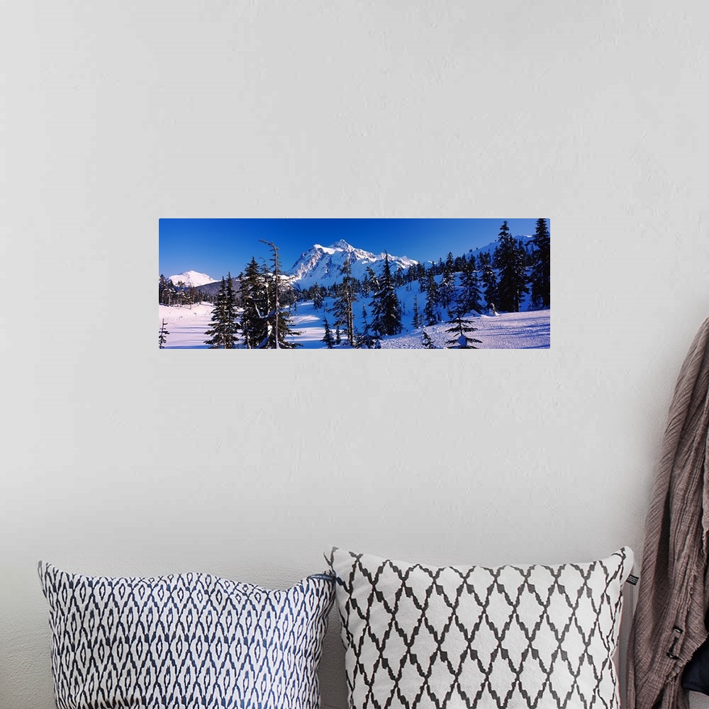 A bohemian room featuring Mt Shuksan viewed from Heather Meadows, Mt Baker Snoqualmie National Forest, North Cascades Natio...