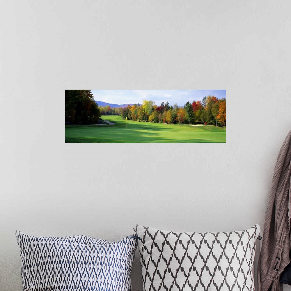 A bohemian room featuring Panoramic photograph of large trees casting shadows on the green of a golf course in New England,...