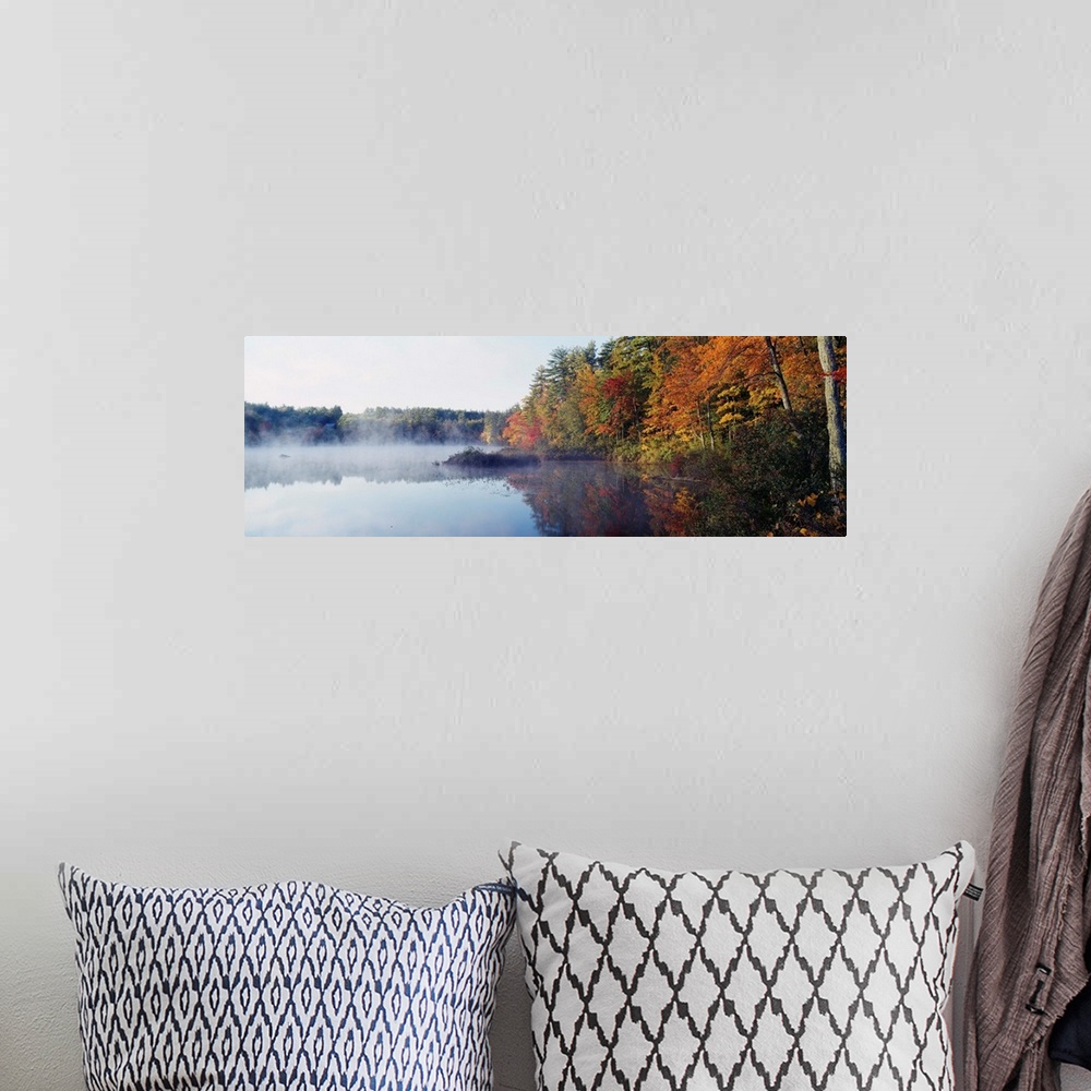 A bohemian room featuring New Hampshire, White Mountains National Forest, Deciduous trees along the Chocorua Lake