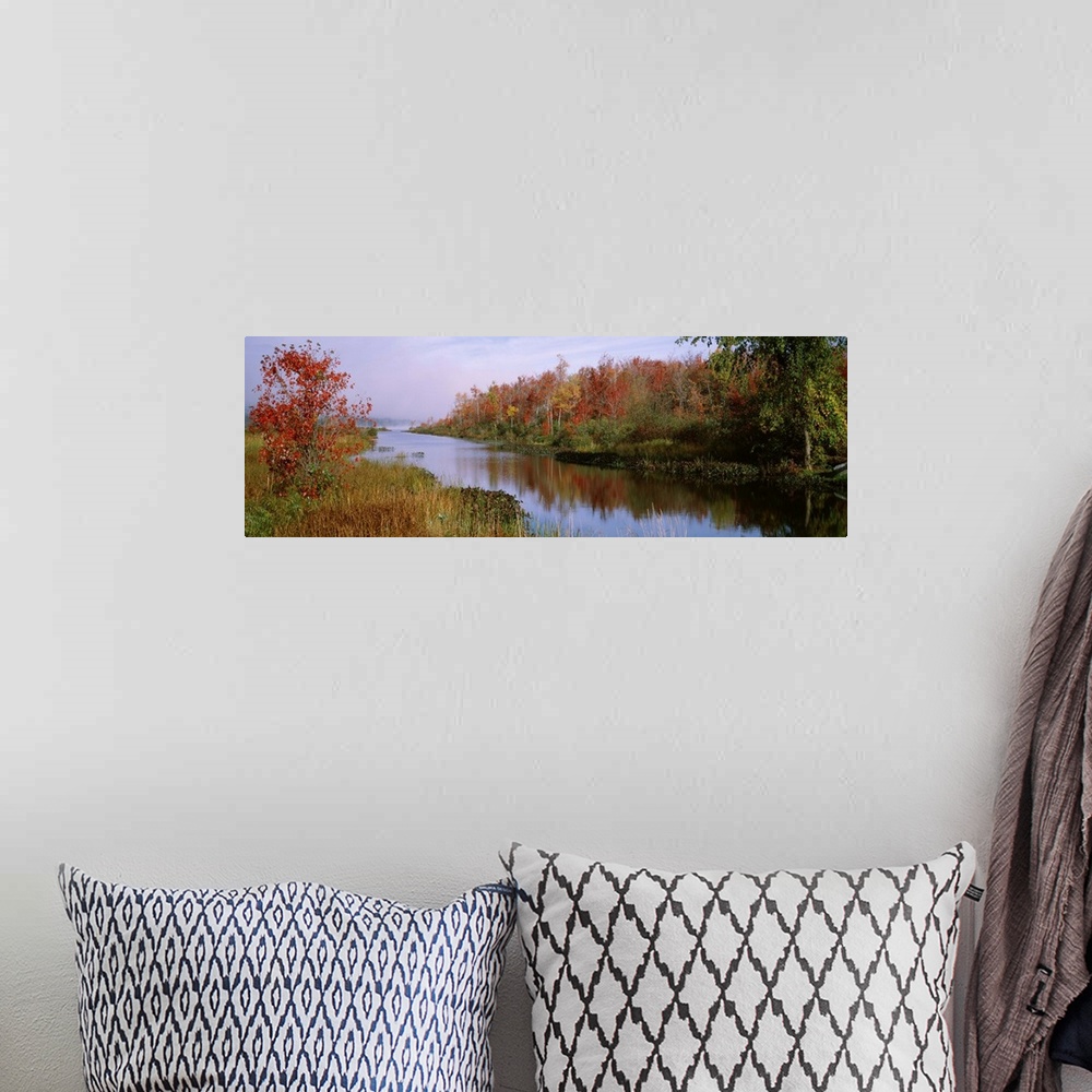 A bohemian room featuring New York, Finger Lakes, Reflection of trees in a lake
