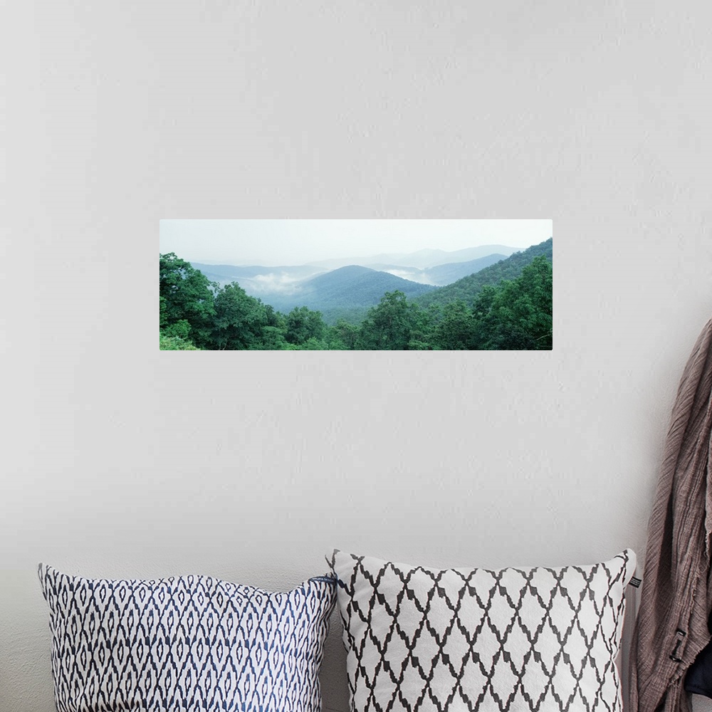A bohemian room featuring North Carolina, Blue Ridge Parkway, View from Big Ridge overlooking Milepost 404