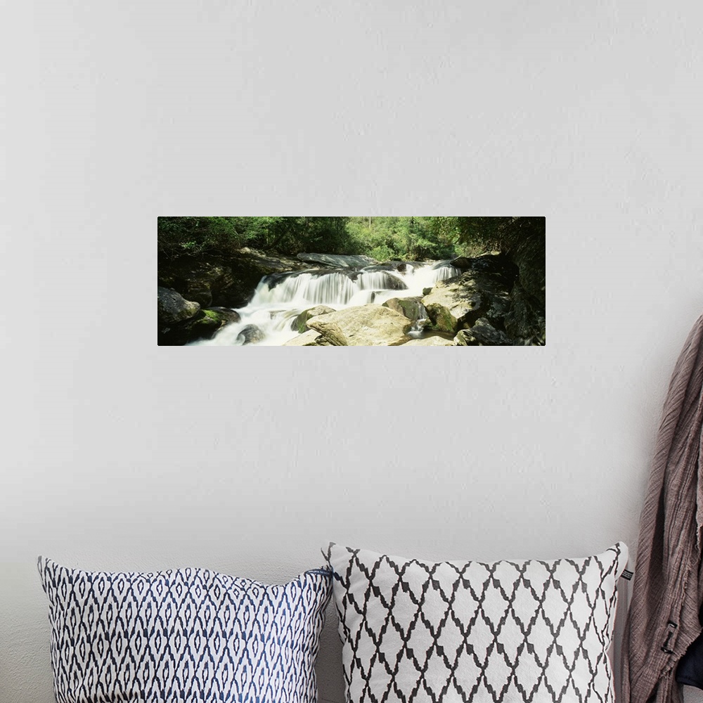 A bohemian room featuring North Carolina, Nantahala National Forest, River flowing through the forest