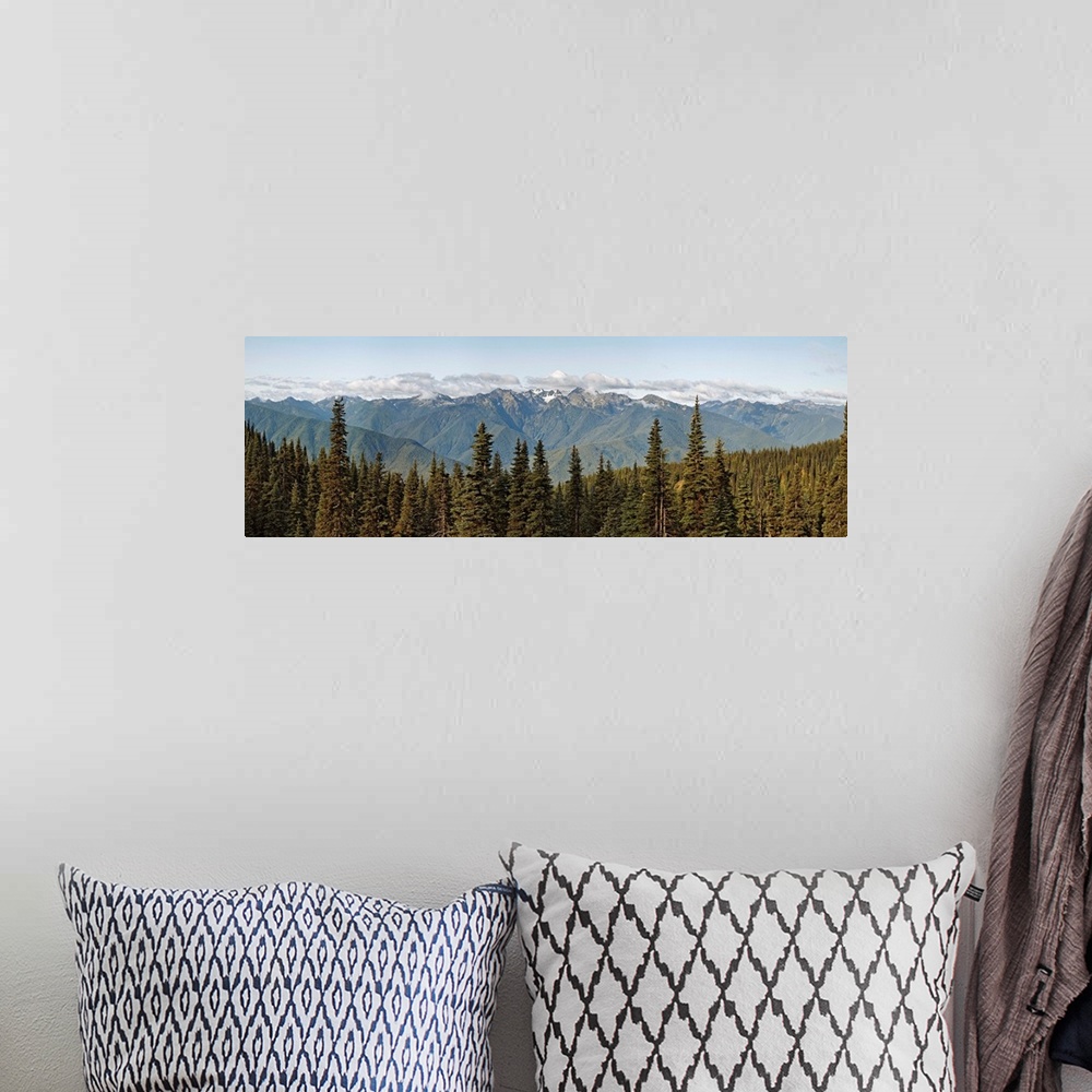A bohemian room featuring Olympic Mountains, Hurricane Ridge, Olympic National Park, Washington State