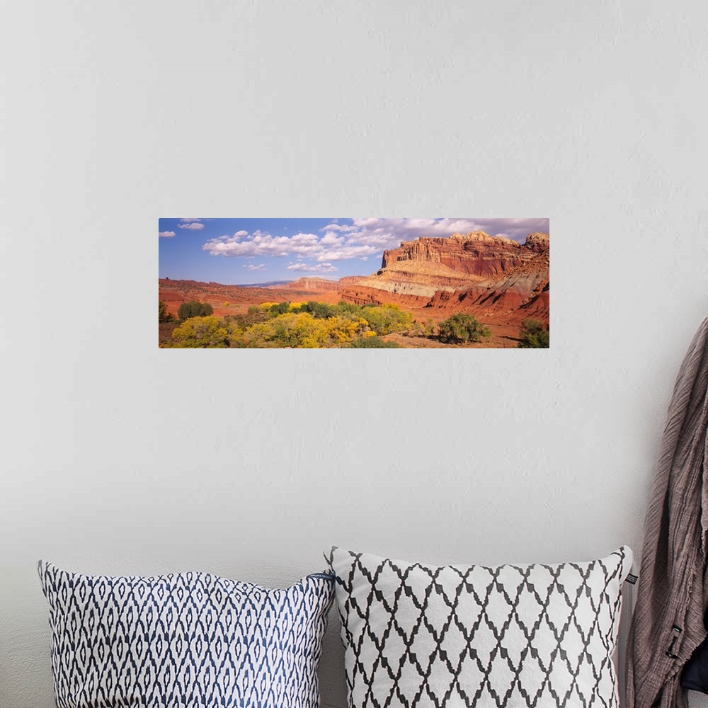 A bohemian room featuring Orchards in front of sandstone cliffs, Capitol Reef National Park, Utah