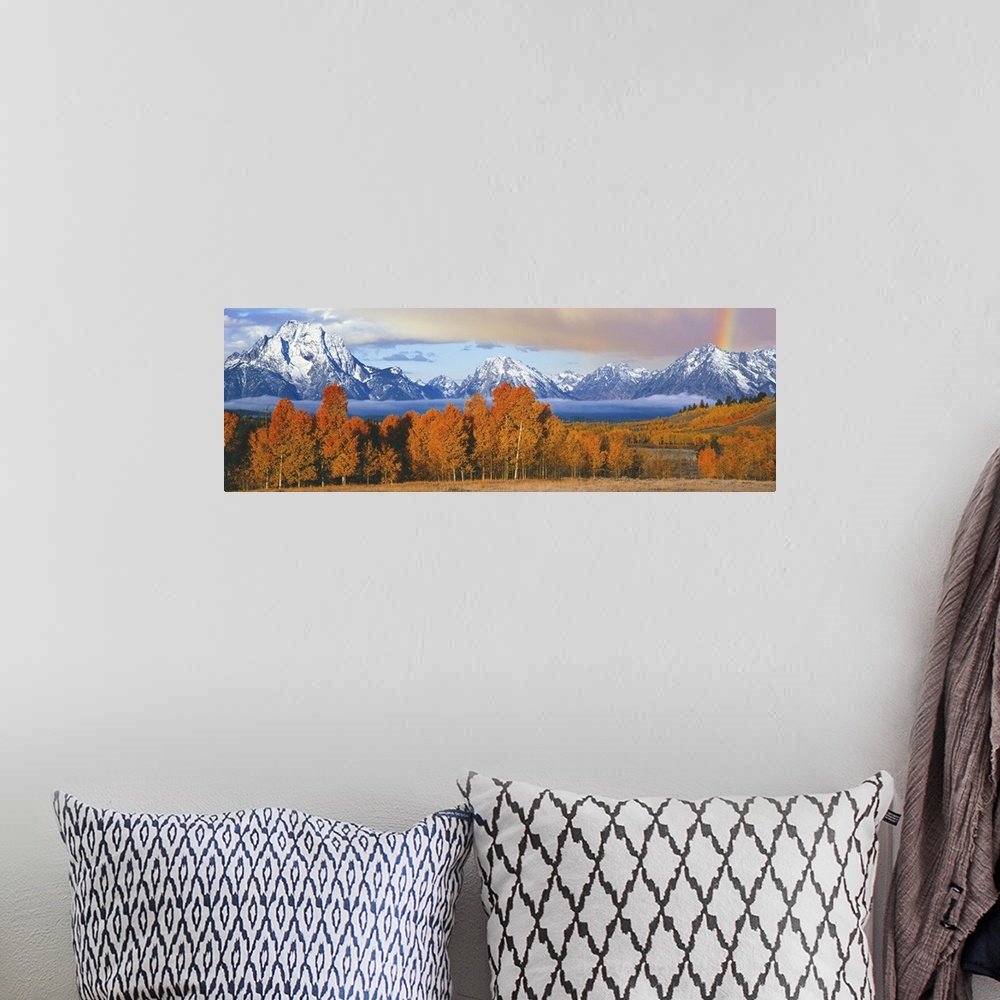 A bohemian room featuring Autumn trees with mountain range in the background, Oxbow Bend, Teton Range, Grand Teton National...