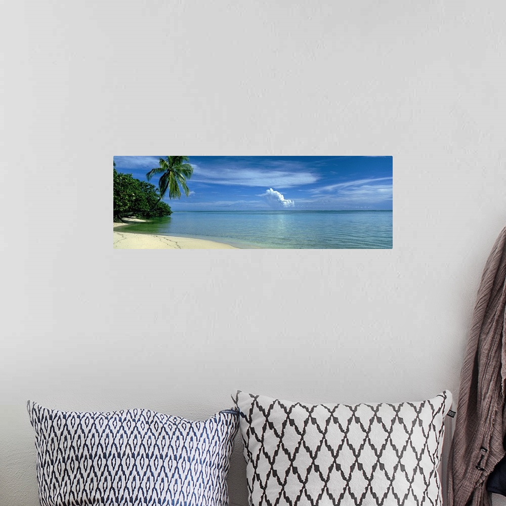 A bohemian room featuring Wide angle, big photograph of a palm tree swaying over a coast line, beneath a blue sky with swir...