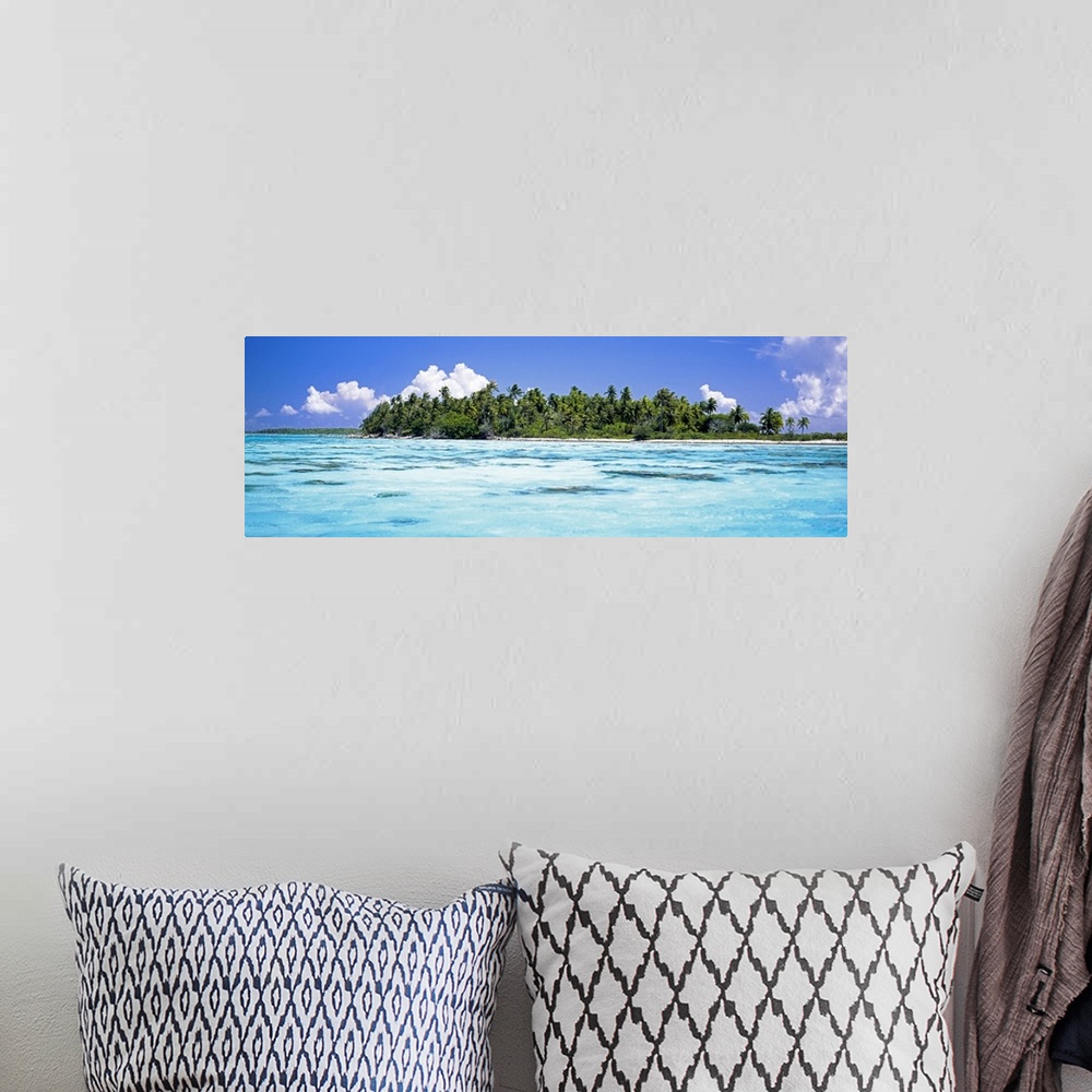 A bohemian room featuring Palm trees on an island, Tuamotu Archipelago, Tahiti, French Polynesia