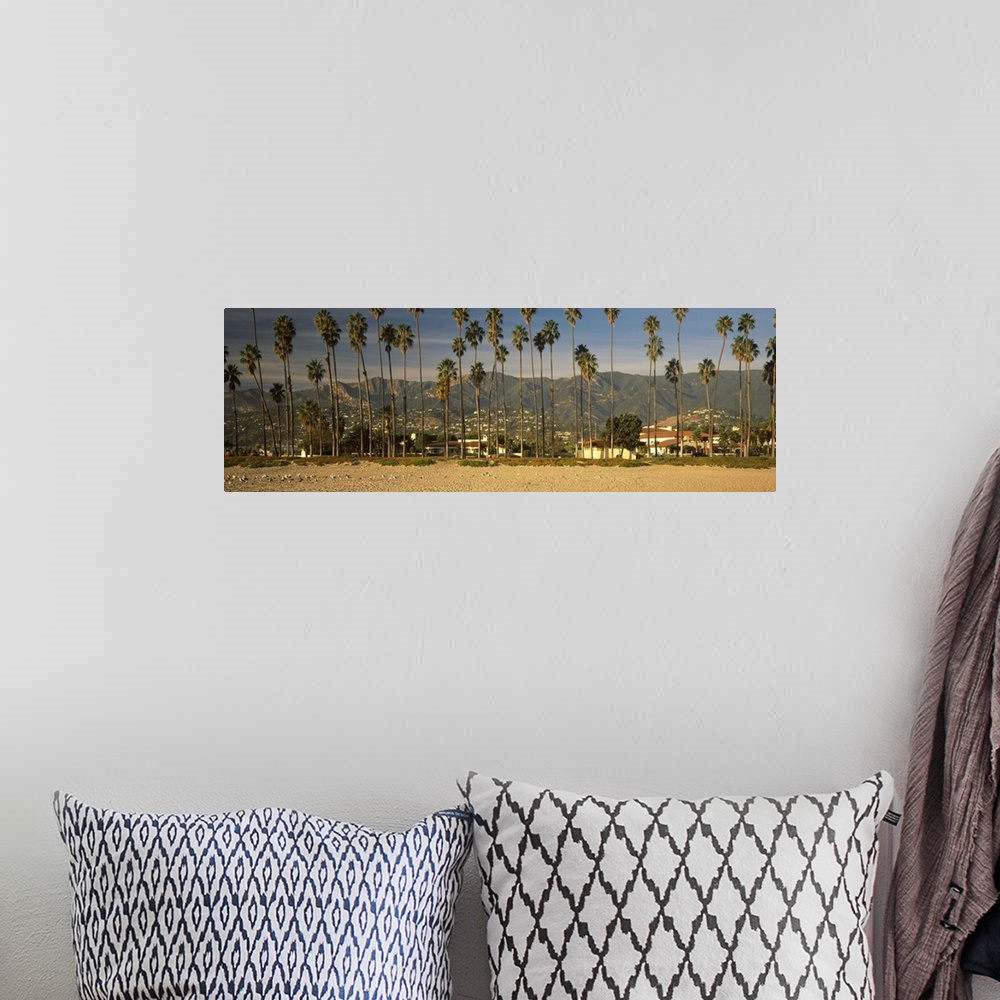 A bohemian room featuring Palm trees on the beach, Santa Barbara, California,