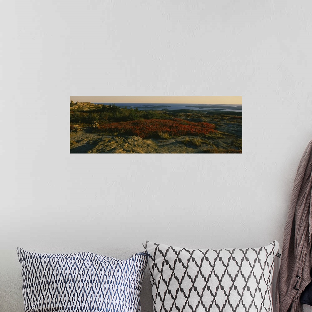 A bohemian room featuring Panoramic view of a landscape, Acadia National Park, Hancock County, Maine