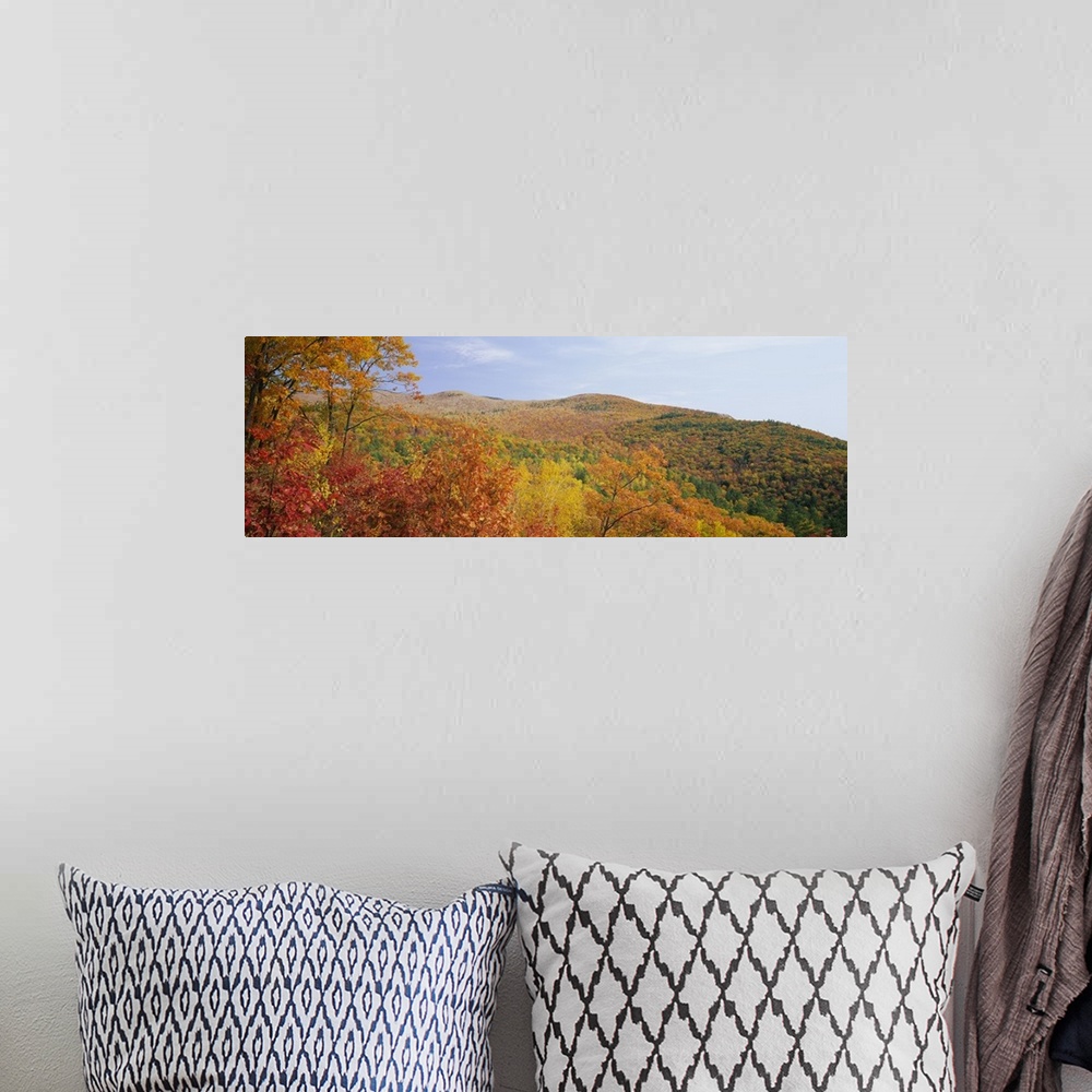 A bohemian room featuring Panoramic view of a landscape, Moultonborough, Carroll County, New Hampshire, New England