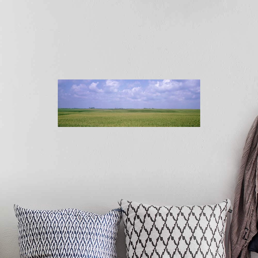 A bohemian room featuring Giant horizontal photograph of a vast, green cornfield beneath a light blue sky, in Iowa.
