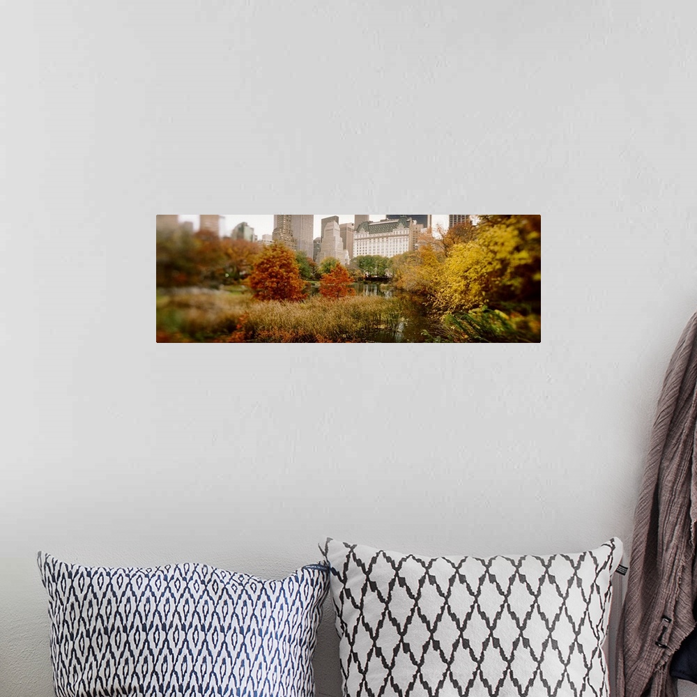 A bohemian room featuring Park with buildings in the background Central Park Manhattan New York City New York State