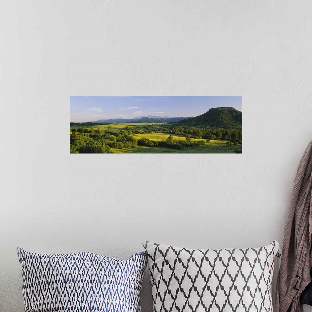 A bohemian room featuring Pasture on a landscape and a mountain in the background, Pikes Peak, Douglas County, Colorado