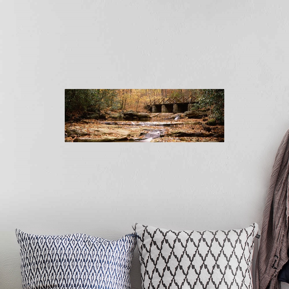 A bohemian room featuring Pennsylvania, Ohiopyle State Park, Cucunber Run, Stream flowing through the forest