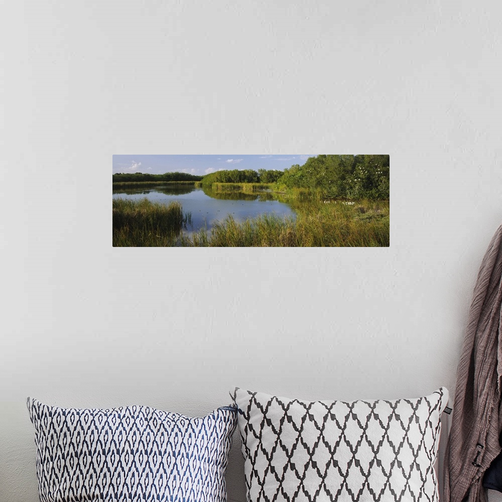 A bohemian room featuring Pond in a forest, Eco Pond, Flamingo CampGround, Everglades National Park, Florida