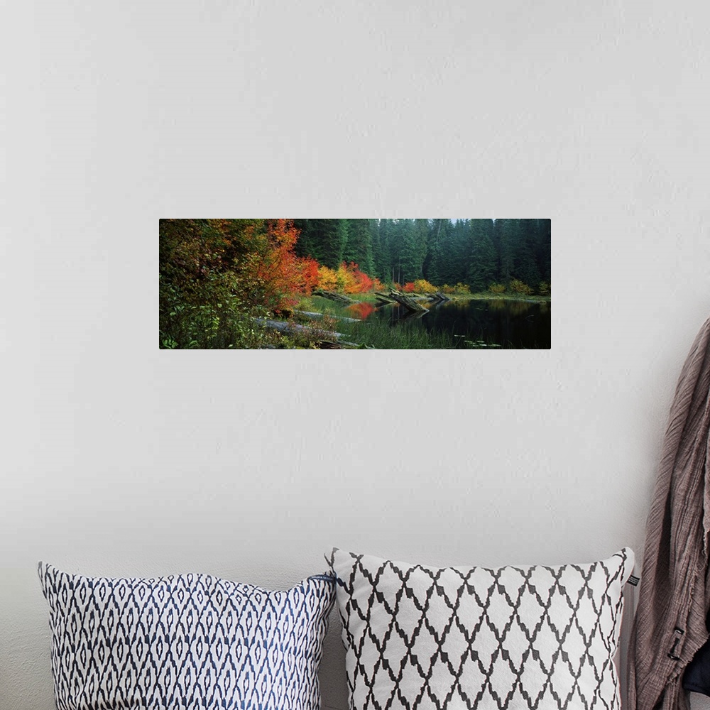 A bohemian room featuring Landscape photograph on a big wall hanging of a pond with large logs protruding from the water, s...