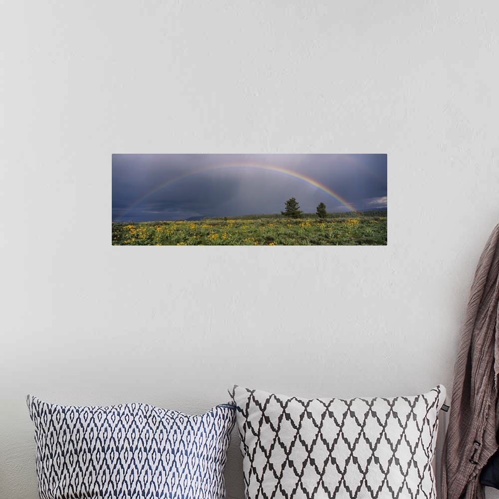 A bohemian room featuring Rainbow Grand Teton National Park WY