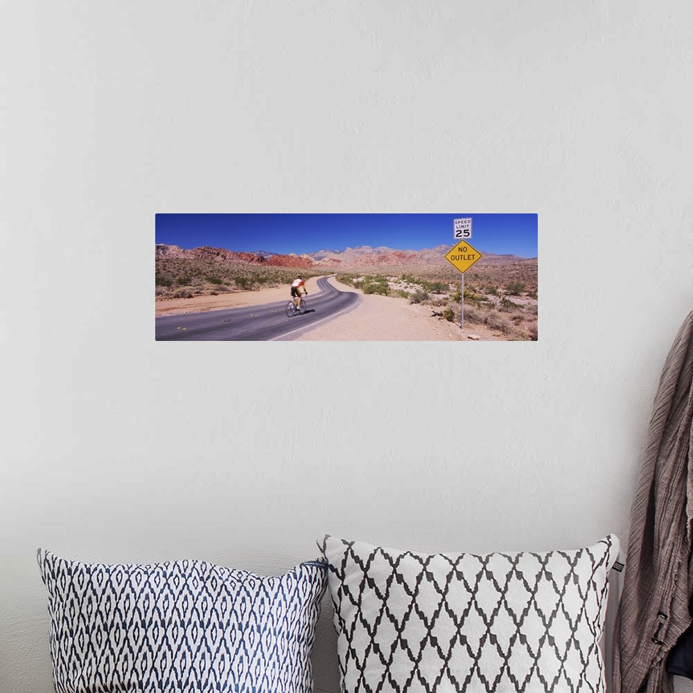 A bohemian room featuring Rear view of a person cycling on the road, Red Rock Canyon National Conservation Area, Clark Coun...