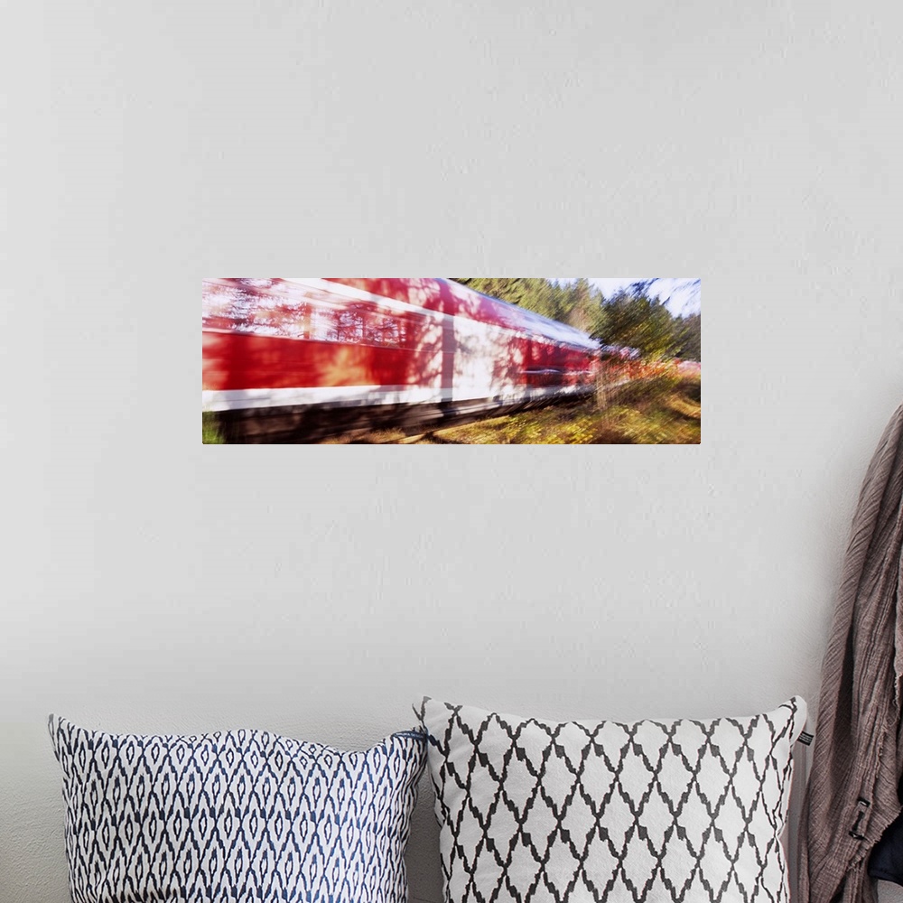 A bohemian room featuring Red commuter train passing through a forest, Baden-Wurttemberg, Germany